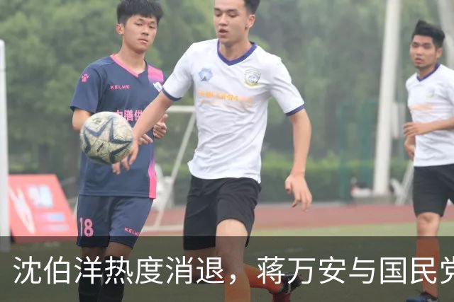 沈伯洋热度消退，蒋万安与国民党已全面反攻，赵少康要将功赎罪？